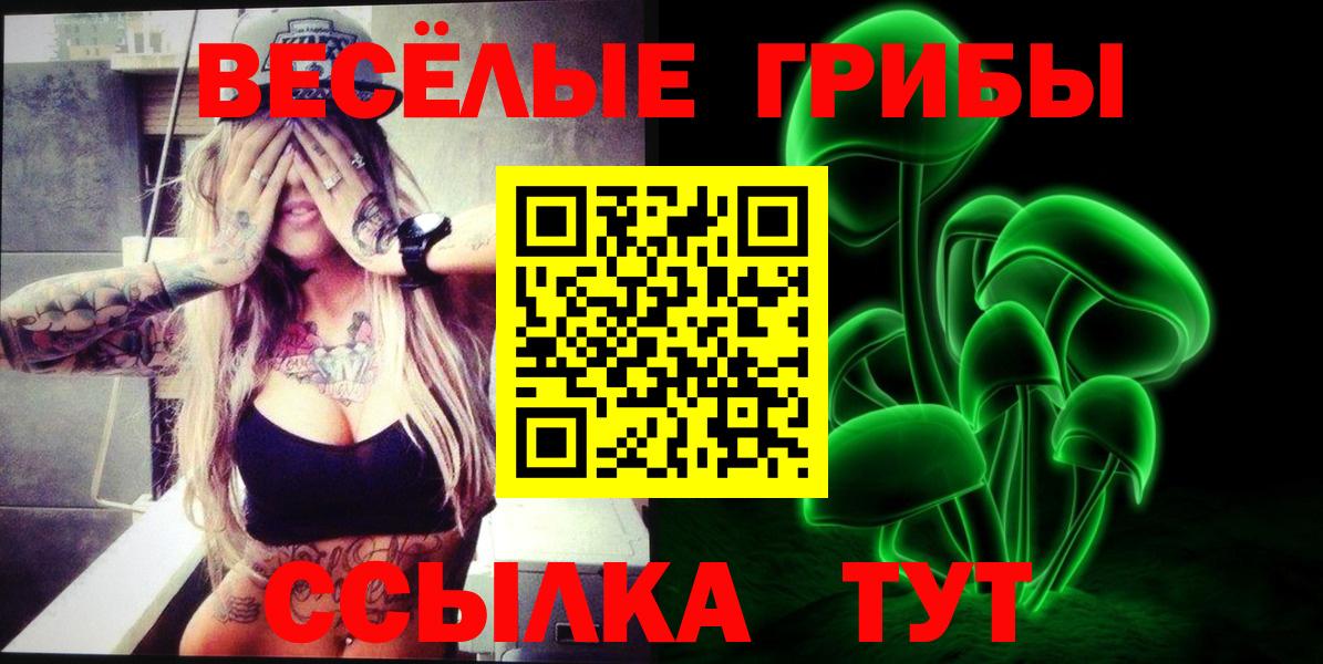Галлюциногенные грибы GOLDEN TEACHER  Вход с VPN  Псилоцибиновые грибы MAGIC MUSHROOMS  Светлоград 